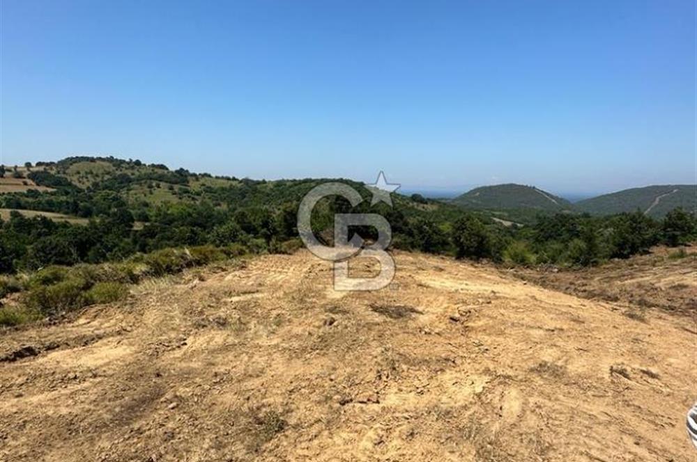 LAPSEKİ GÜRECİ KÖYÜNE YAKIN 4305 MT2 TEK TAPU ARSA