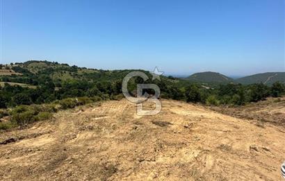 LAPSEKİ GÜRECİ KÖYÜNE YAKIN 4305 MT2 TEK TAPU ARSA