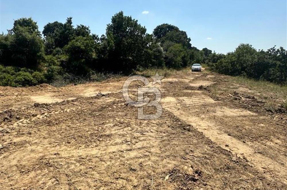 LAPSEKİ GÜRECİ KÖYÜNE YAKIN 4305 MT2 TEK TAPU ARSA