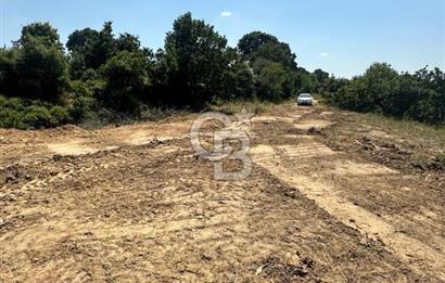 LAPSEKİ GÜRECİ KÖYÜNE YAKIN 4305 MT2 TEK TAPU ARSA