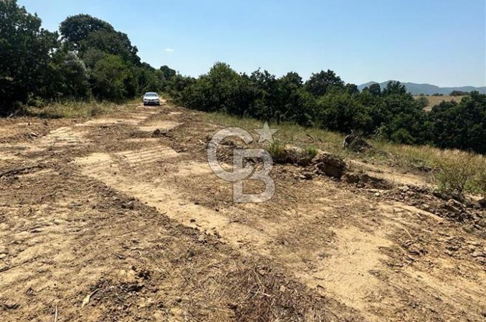 LAPSEKİ GÜRECİ KÖYÜNE YAKIN 4305 MT2 TEK TAPU ARSA