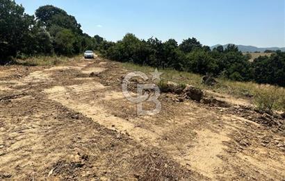 LAPSEKİ GÜRECİ KÖYÜNE YAKIN 4305 MT2 TEK TAPU ARSA