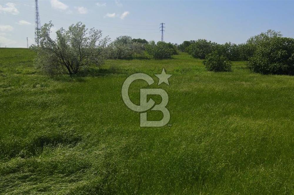 BALIKESİR MANYAS HAYDAR'DA EMSALSİZ SATILIK VİLLA İMARLI ARSALAR
