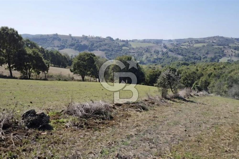 Balıkesir Karesi Taşkesiği Mahallesinde Satılık 4929 m² Tarla