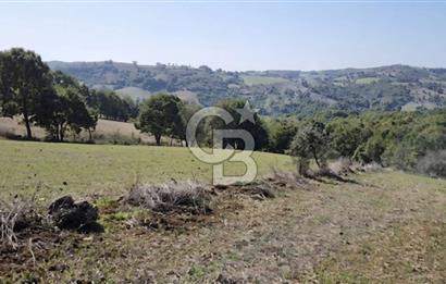 Balıkesir Karesi Taşkesiği Mahallesinde Satılık 4929 m² Tarla