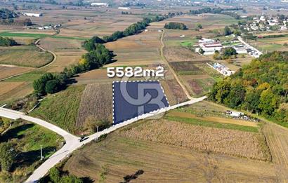 CB AKADEMİ ÇAVUŞLU SATILIK ASFALT YOLA CEPHE 5582 m2 TARLA