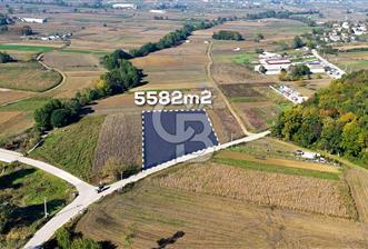 CB AKADEMİ ÇAVUŞLU SATILIK ASFALT YOLA CEPHE 5582 m2 TARLA - 8 - 378730