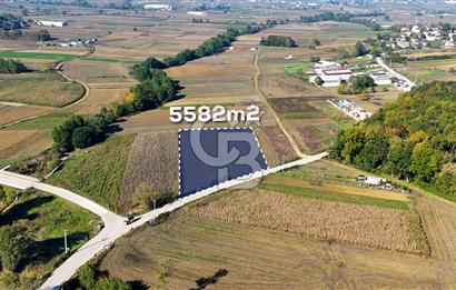 CB AKADEMİ ÇAVUŞLU SATILIK ASFALT YOLA CEPHE 5582 m2 TARLA