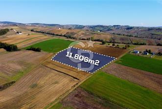 CB AKADEMİ DERİNCE ÇAVUŞLU SATILIK YOL CEPHE 11.806 m2 TARLA - 7 - 378732