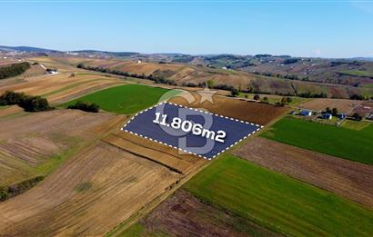 CB AKADEMİ DERİNCE ÇAVUŞLU SATILIK YOL CEPHE 11.806 m2 TARLA