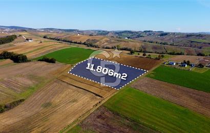 CB AKADEMİ DERİNCE ÇAVUŞLU SATILIK YOL CEPHE 11.806 m2 TARLA