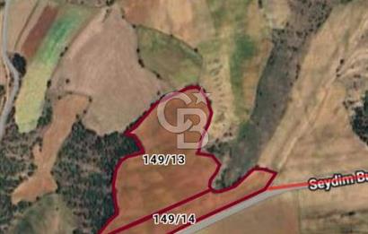 Çorum Merkez Seydim Yunusemre – Ortaburun Mevkii’nde 43.405,92 m² Satılık Tarla