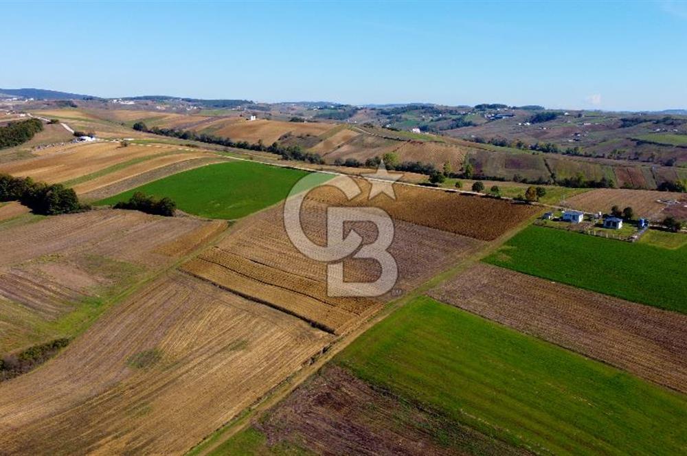 CB AKADEMİ DERİNCE ÇAVUŞLU SATILIK YOL CEPHE 11.806 m2 TARLA