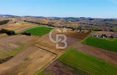 CB AKADEMİ DERİNCE ÇAVUŞLU SATILIK YOL CEPHE 11.806 m2 TARLA