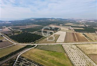 FOÇA GERENKÖY'DE 5.062 m² MÜSTAKİL TAPULU, 150 M YOL CEPHELİ - 1 - 378683