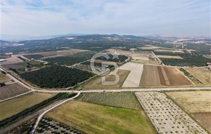 FOÇA GERENKÖY'DE 5.062 m² MÜSTAKİL TAPULU, 150 M YOL CEPHELİ