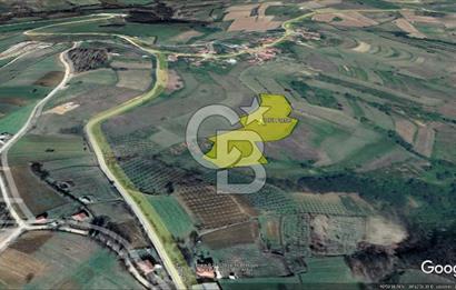 TEK TAPU TARLA -AMBARCI'DA YOLA YAKIN 11 DÖNÜM SATILIK TARLA
