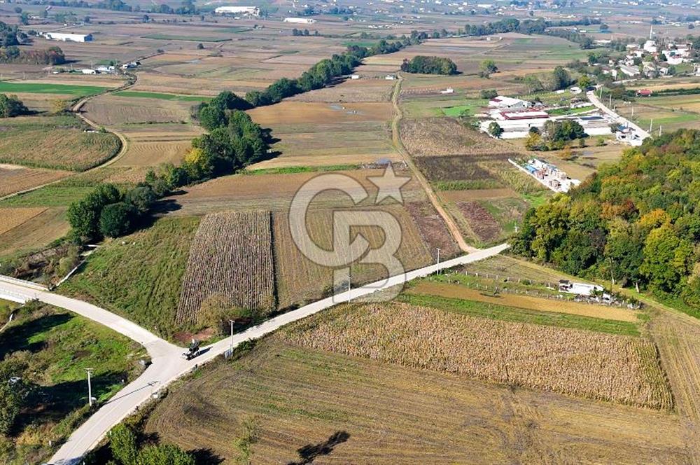 CB AKADEMİ ÇAVUŞLU SATILIK ASFALT YOLA CEPHE 5582 m2 TARLA