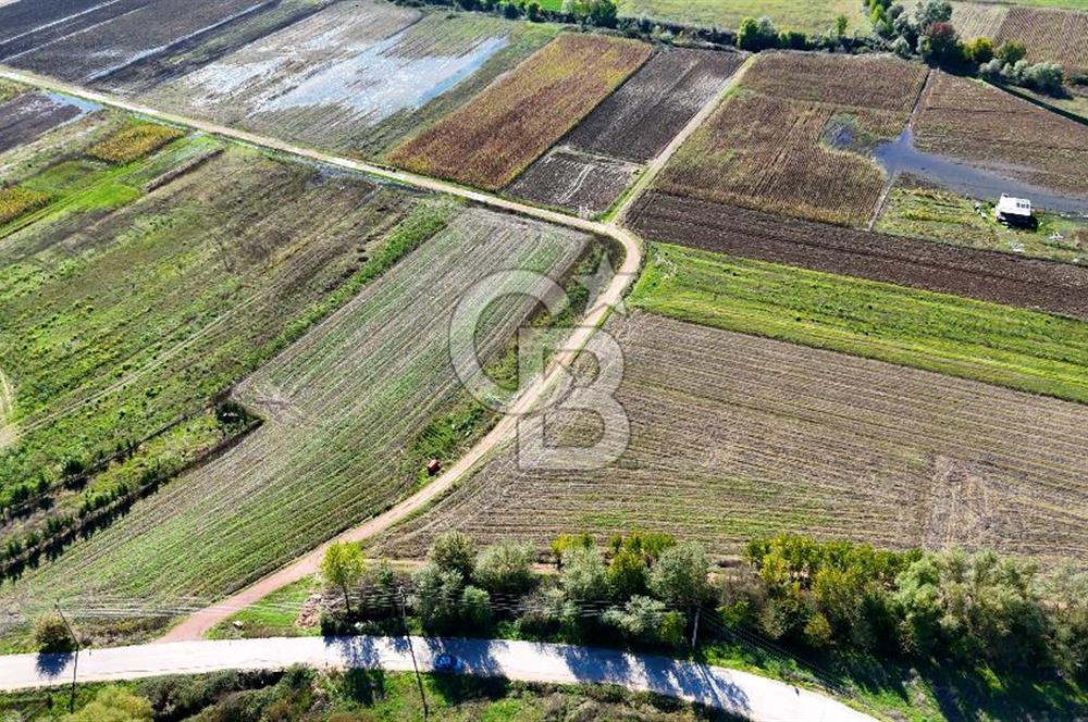 CB AKADEMİ ÇAVUŞLU SATILIK ÇİFT CEPHE YOLA SAHİP 1374 m2 TARLA