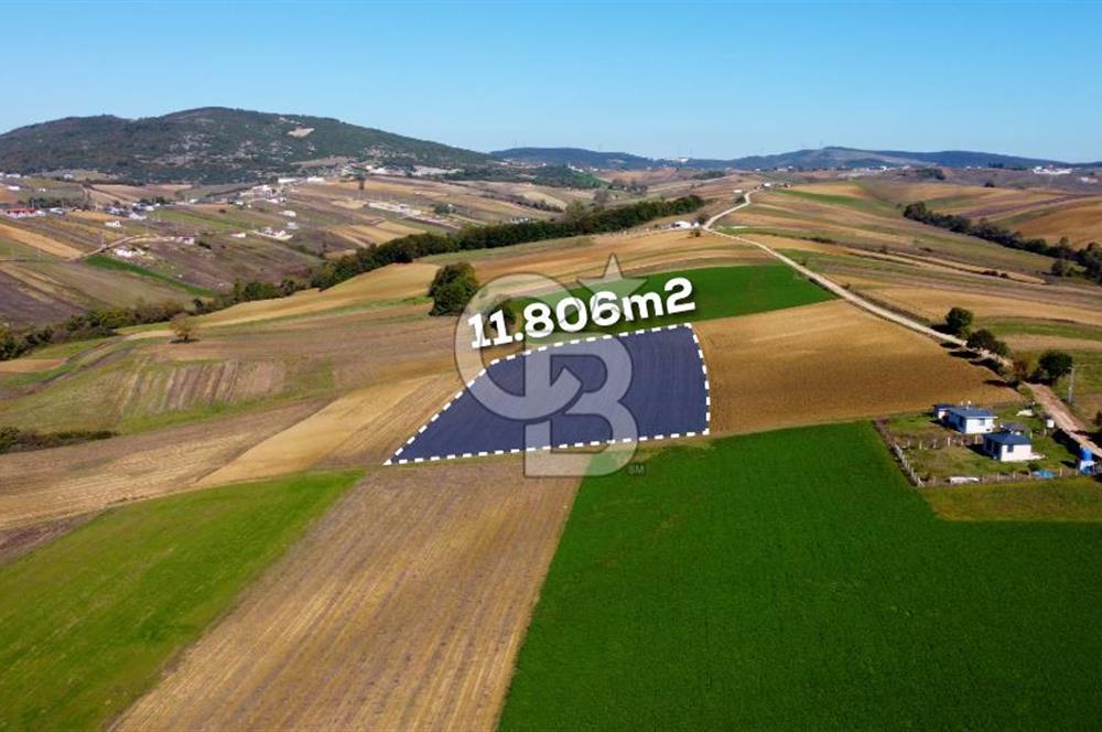 CB AKADEMİ DERİNCE ÇAVUŞLU SATILIK YOL CEPHE 11.806 m2 TARLA