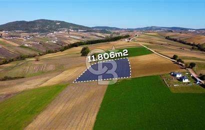 CB AKADEMİ DERİNCE ÇAVUŞLU SATILIK YOL CEPHE 11.806 m2 TARLA