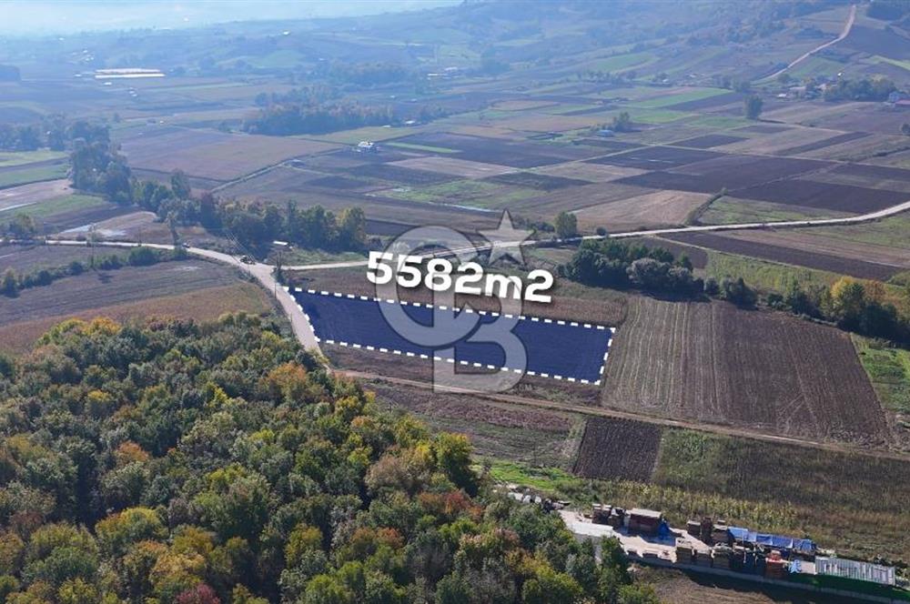 CB AKADEMİ ÇAVUŞLU SATILIK ASFALT YOLA CEPHE 5582 m2 TARLA