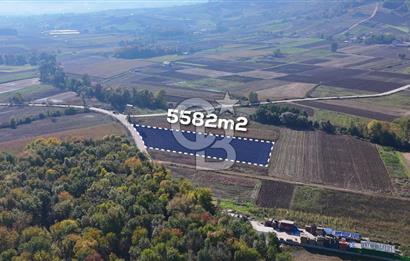 CB AKADEMİ ÇAVUŞLU SATILIK ASFALT YOLA CEPHE 5582 m2 TARLA