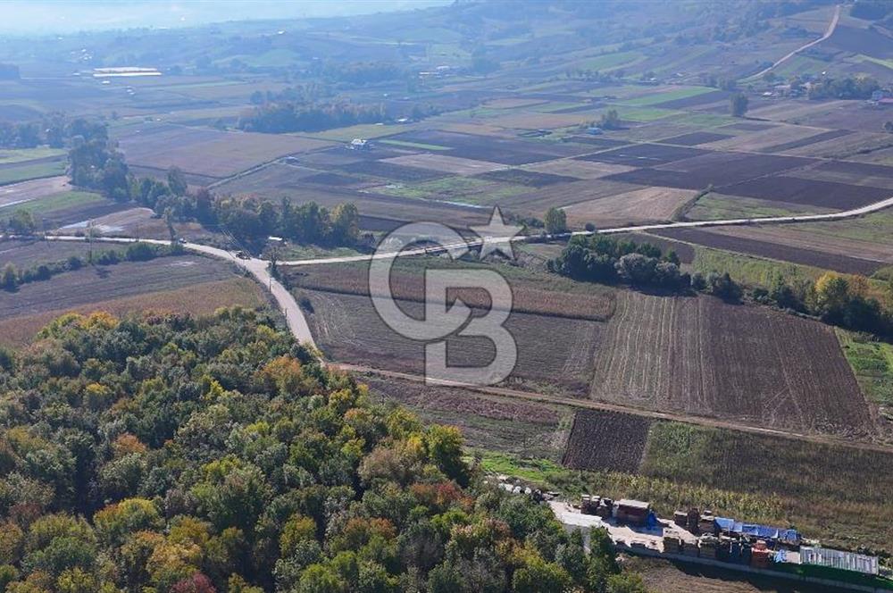 CB AKADEMİ ÇAVUŞLU SATILIK ASFALT YOLA CEPHE 5582 m2 TARLA