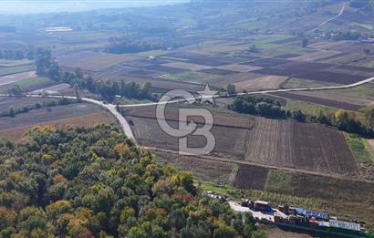 CB AKADEMİ ÇAVUŞLU SATILIK ASFALT YOLA CEPHE 5582 m2 TARLA