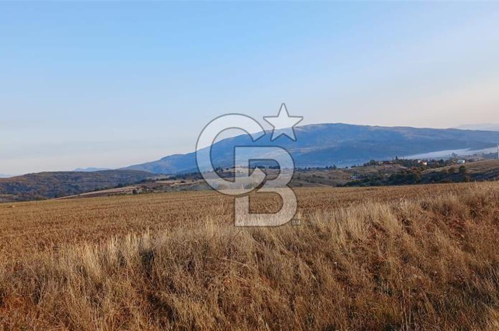 Çorum Merkez Seydim Yunusemre – Ortaburun Mevkii’nde 43.405,92 m² Satılık Tarla