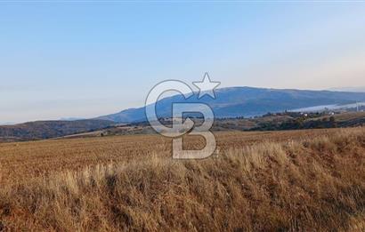 Çorum Merkez Seydim Yunusemre – Ortaburun Mevkii’nde 43.405,92 m² Satılık Tarla