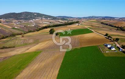 CB AKADEMİ DERİNCE ÇAVUŞLU SATILIK YOL CEPHE 11.806 m2 TARLA
