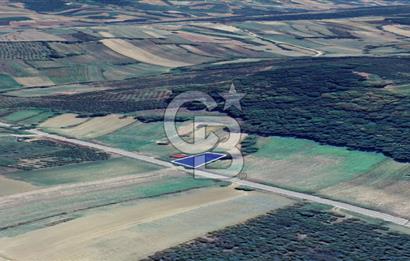 CB AKADEMİDEN KANDIRA ÖZBEY KÖYÜ SATILIK YOLA CEPHE TARLA