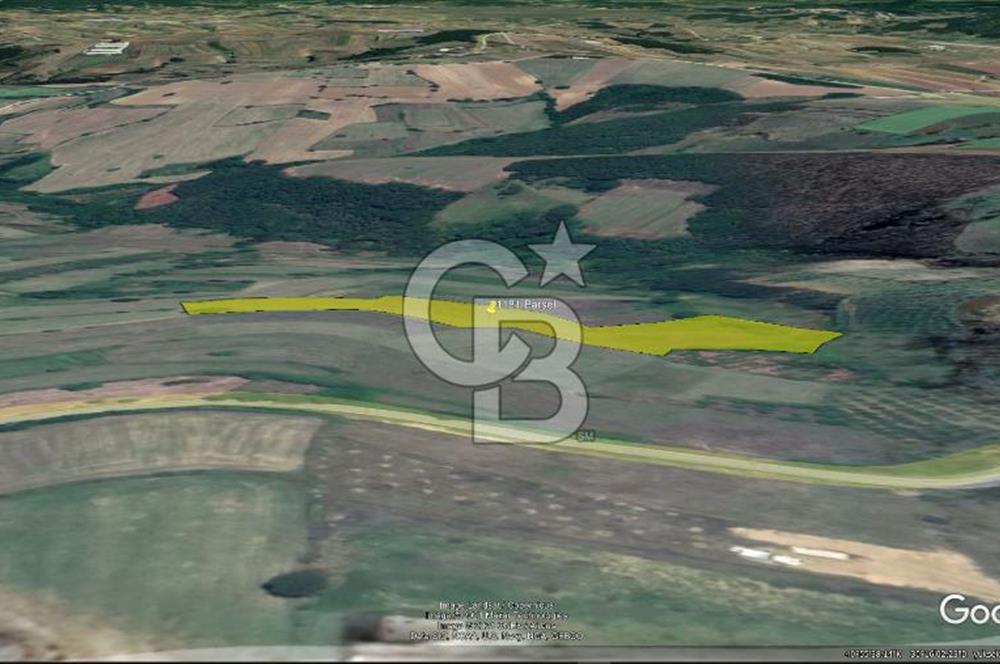 TEK TAPU TARLA -AMBARCI'DA YOLA YAKIN 11 DÖNÜM SATILIK TARLA