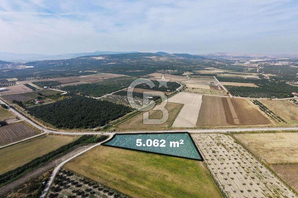 FOÇA GERENKÖY'DE 5.062 m² MÜSTAKİL TAPULU, 150 M YOL CEPHELİ