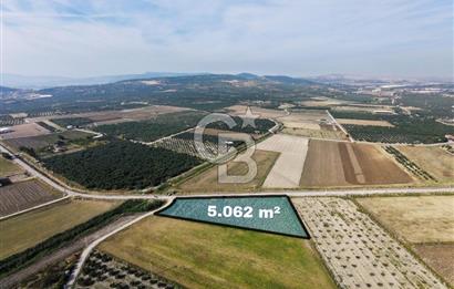 FOÇA GERENKÖY'DE 5.062 m² MÜSTAKİL TAPULU, 150 M YOL CEPHELİ