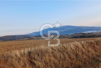 Çorum Merkez Seydim Yunusemre – Ortaburun Mevkii’nde 43.405,92 m² Satılık Tarla - 1 - 378688