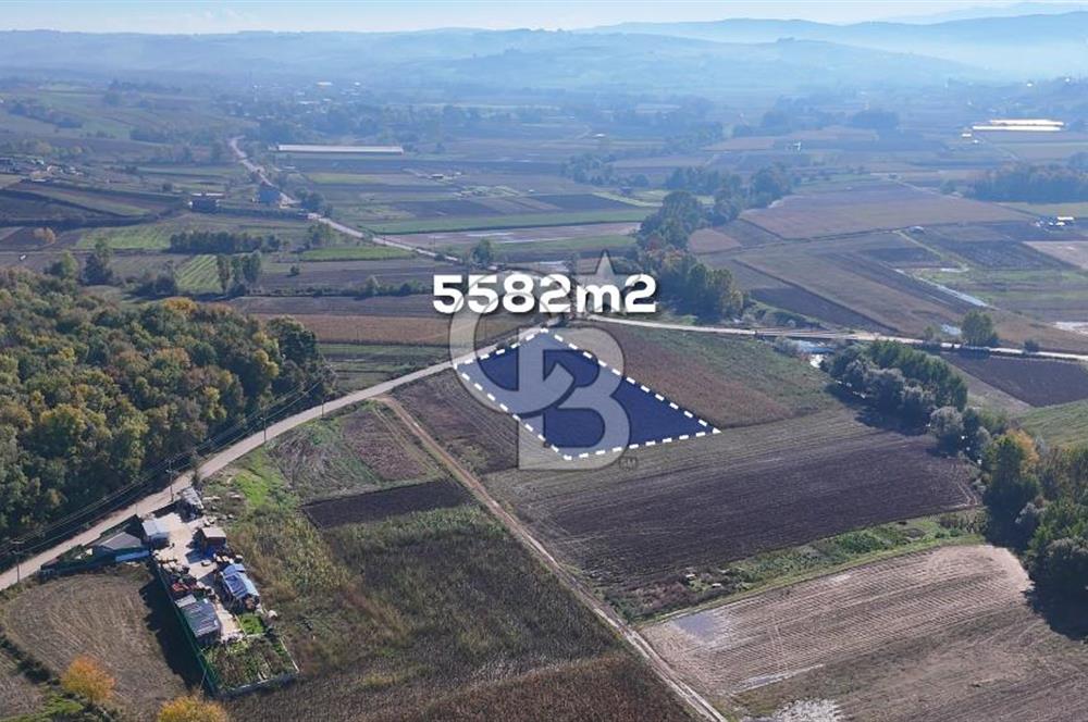 CB AKADEMİ ÇAVUŞLU SATILIK ASFALT YOLA CEPHE 5582 m2 TARLA