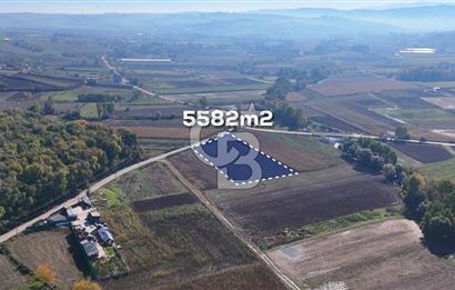 CB AKADEMİ ÇAVUŞLU SATILIK ASFALT YOLA CEPHE 5582 m2 TARLA