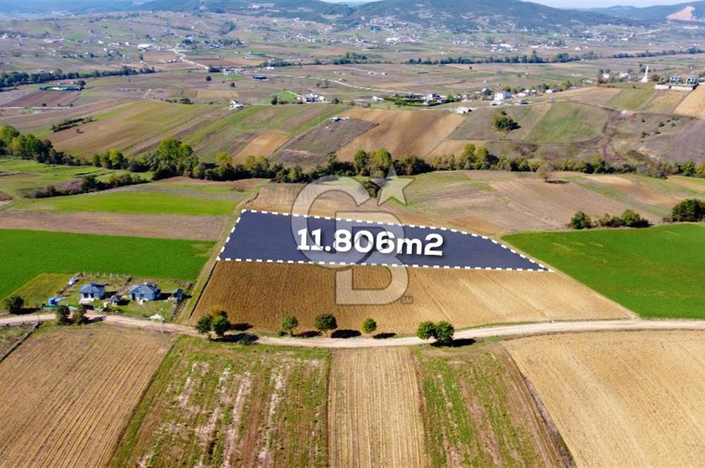 CB AKADEMİ DERİNCE ÇAVUŞLU SATILIK YOL CEPHE 11.806 m2 TARLA