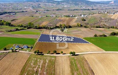 CB AKADEMİ DERİNCE ÇAVUŞLU SATILIK YOL CEPHE 11.806 m2 TARLA