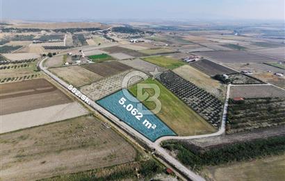FOÇA GERENKÖY'DE 5.062 m² MÜSTAKİL TAPULU, 150 M YOL CEPHELİ