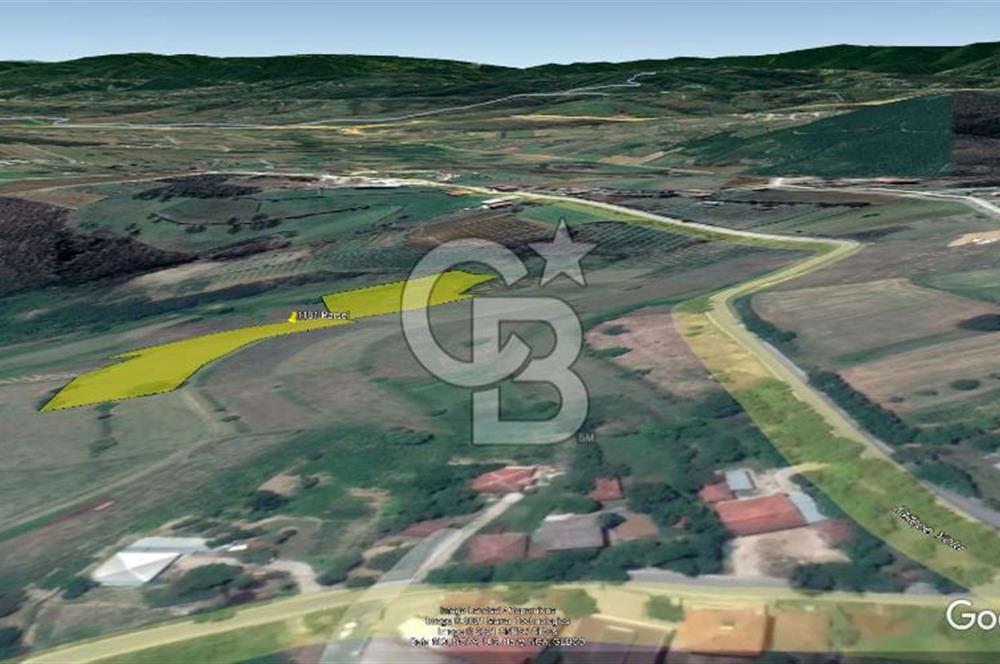 TEK TAPU TARLA -AMBARCI'DA YOLA YAKIN 11 DÖNÜM SATILIK TARLA