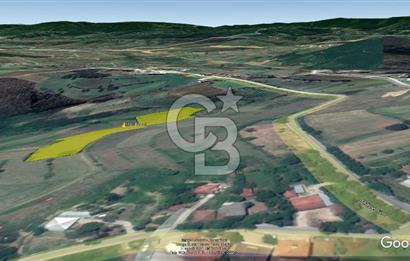 TEK TAPU TARLA -AMBARCI'DA YOLA YAKIN 11 DÖNÜM SATILIK TARLA