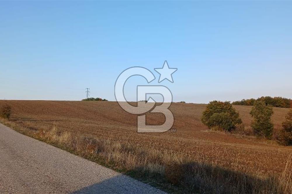 Çorum Merkez Seydim Yunusemre – Ortaburun Mevkii’nde 43.405,92 m² Satılık Tarla