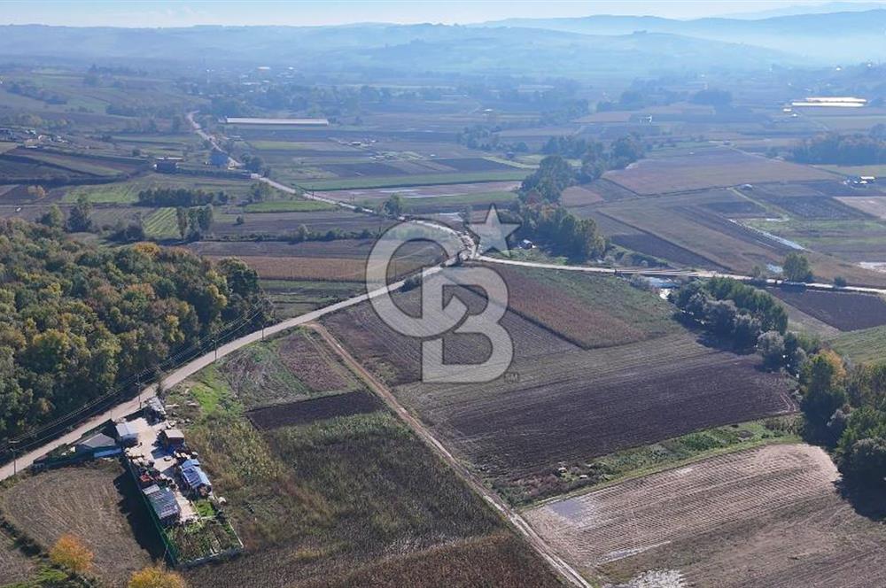 CB AKADEMİ ÇAVUŞLU SATILIK ASFALT YOLA CEPHE 5582 m2 TARLA