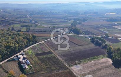 CB AKADEMİ ÇAVUŞLU SATILIK ASFALT YOLA CEPHE 5582 m2 TARLA