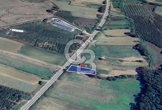 CB AKADEMİDEN KANDIRA ÖZBEY KÖYÜ SATILIK YOLA CEPHE TARLA - 11 - 378693