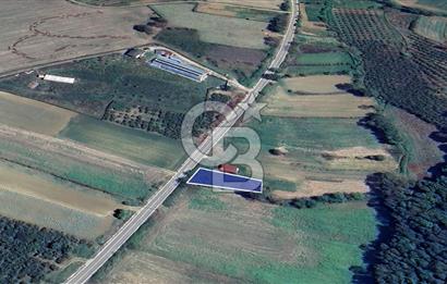 CB AKADEMİDEN KANDIRA ÖZBEY KÖYÜ SATILIK YOLA CEPHE TARLA