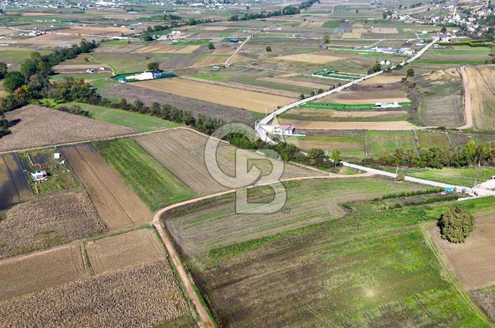 CB AKADEMİ ÇAVUŞLU SATILIK ÇİFT CEPHE YOLA SAHİP 1374 m2 TARLA